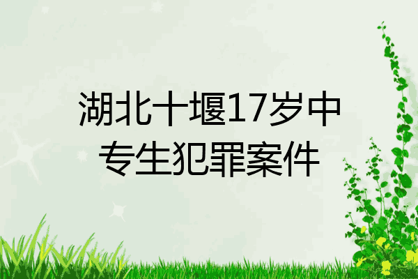 湖北十堰17岁中专生犯罪案件