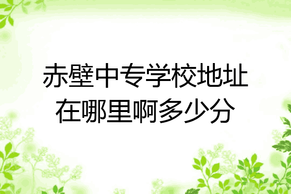 赤壁中专学校地址在哪里啊多少分