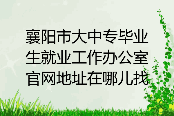 襄阳市大中专毕业生就业工作办公室官网地址在哪儿找