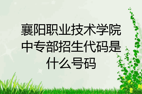 襄阳职业技术学院中专部招生代码是什么号码