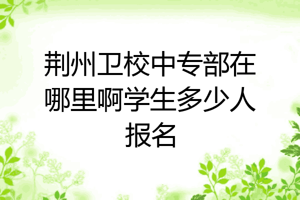 荆州卫校中专部在哪里啊学生多少人报名