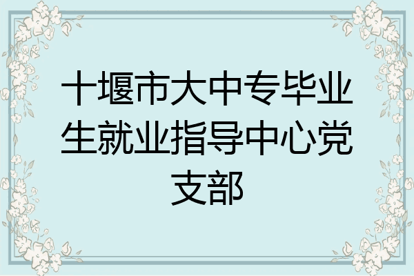 十堰市大中专毕业生就业指导中心党支部