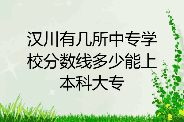 汉川有几所中专学校分数线多少能上本科大专