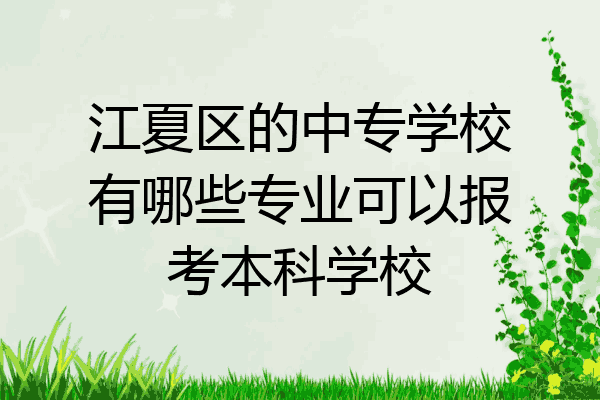 江夏区的中专学校有哪些专业可以报考本科学校