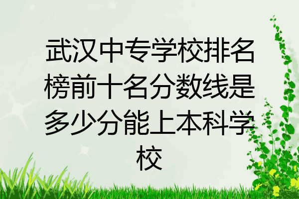 武汉中专学校排名榜前十名分数线是多少分能上本科学校