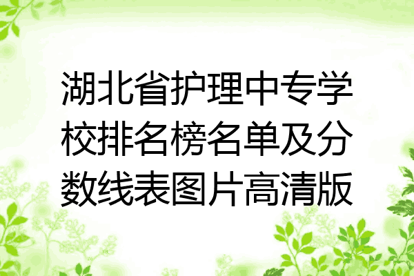 湖北省护理中专学校排名榜名单及分数线表图片高清版
