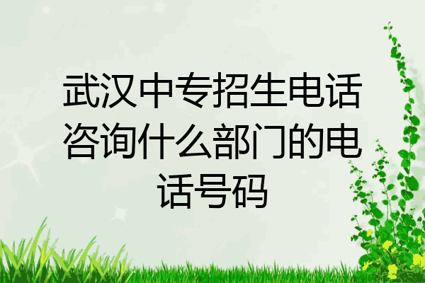 武汉中专招生电话咨询什么部门的电话号码