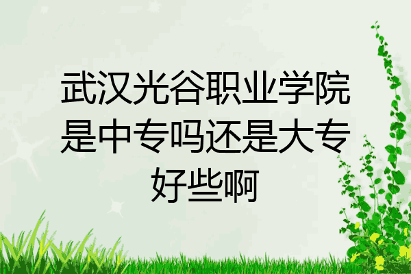 武汉光谷职业学院是中专吗还是大专好些啊