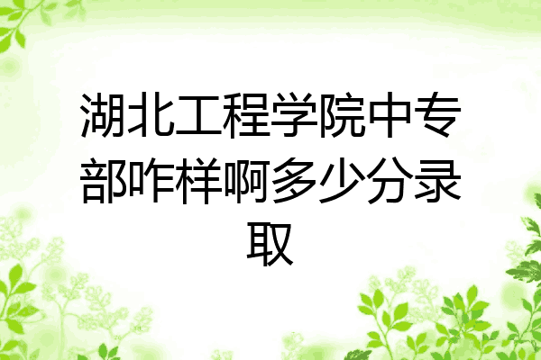 湖北工程学院中专部咋样啊多少分录取