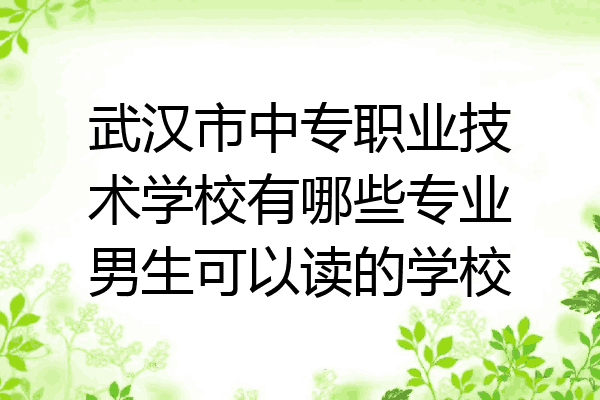 武汉市中专职业技术学校有哪些专业男生可以读的学校