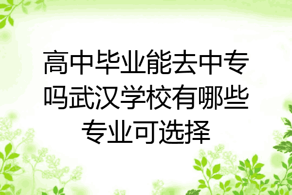 高中毕业能去中专吗武汉学校有哪些专业可选择