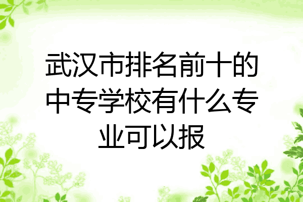 武汉市排名前十的中专学校有什么专业可以报