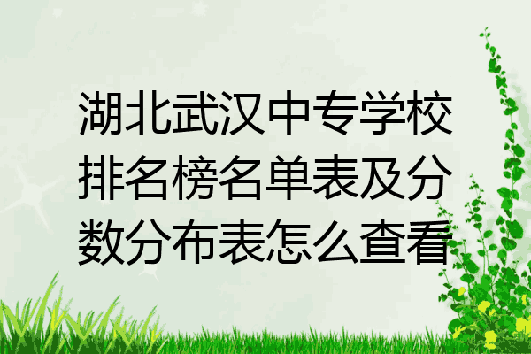 湖北武汉中专学校排名榜名单表及分数分布表怎么查看