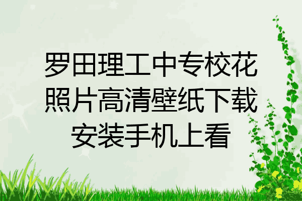 罗田理工中专校花照片高清壁纸下载安装手机上看