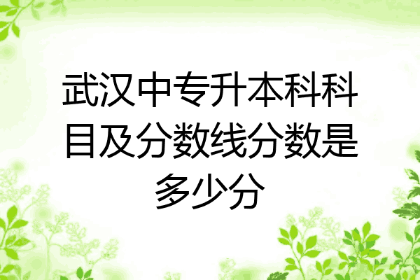 武汉中专升本科科目及分数线分数是多少分