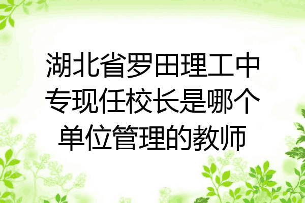 湖北省罗田理工中专现任校长是哪个单位管理的教师