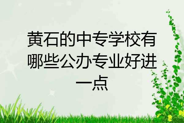 黄石的中专学校有哪些公办专业好进一点