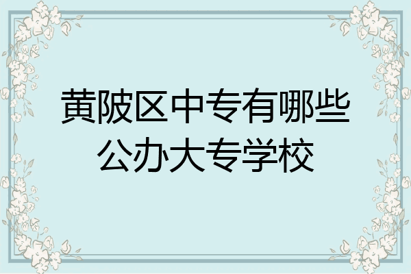 黄陂区中专有哪些公办大专学校