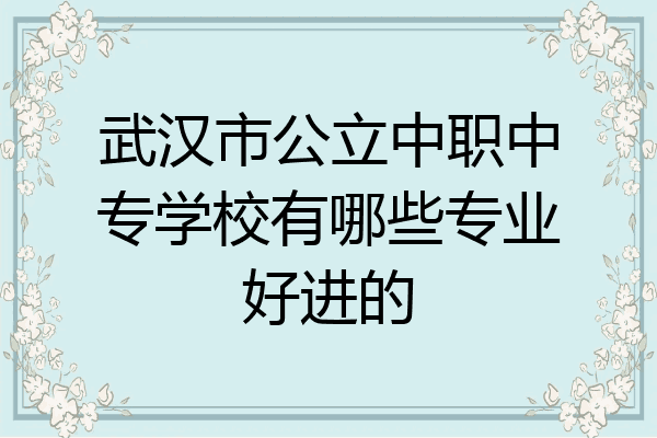 武汉市公立中职中专学校有哪些专业好进的