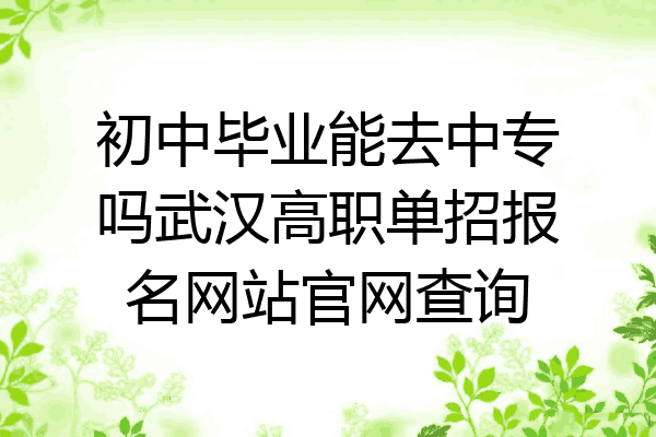 初中毕业能去中专吗武汉高职单招报名网站官网查询