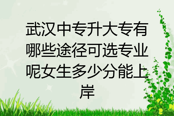 武汉中专升大专有哪些途径可选专业呢女生多少分能上岸