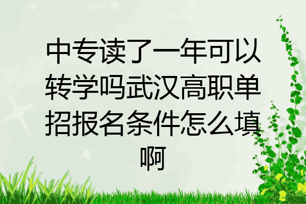 中专读了一年可以转学吗武汉高职单招报名条件怎么填啊