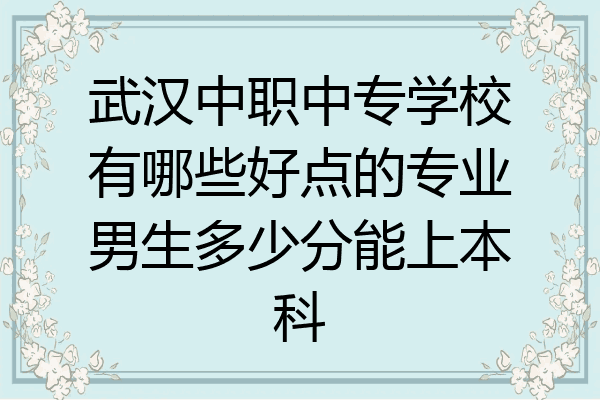 武汉中职中专学校有哪些好点的专业男生多少分能上本科