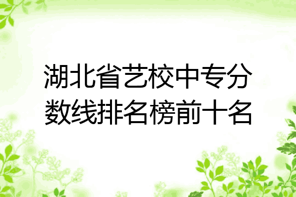 湖北省艺校中专分数线排名榜前十名