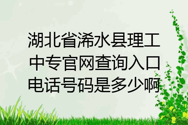 湖北省浠水县理工中专官网查询入口电话号码是多少啊