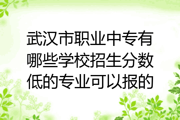 武汉市职业中专有哪些学校招生分数低的专业可以报的