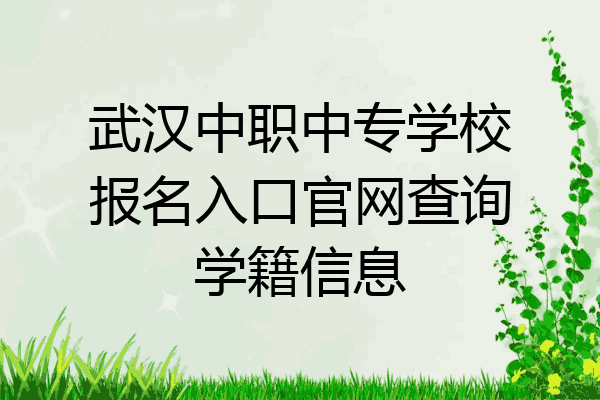 武汉中职中专学校报名入口官网查询学籍信息