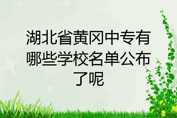 湖北省黄冈中专有哪些学校名单公布了呢