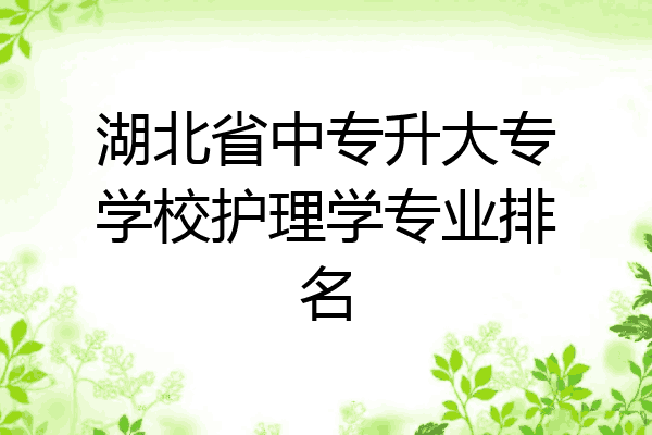 湖北省中专升大专学校护理学专业排名