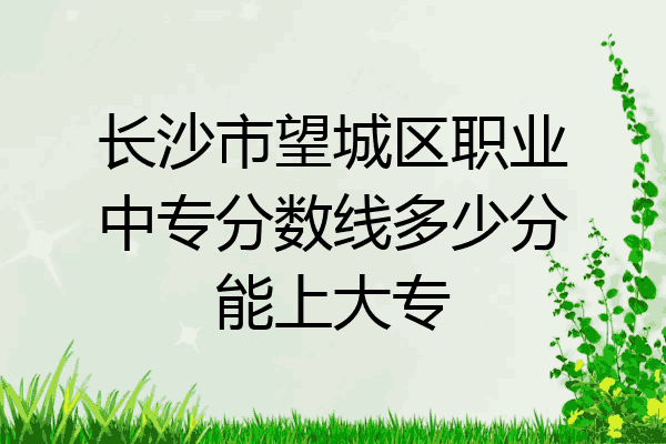 长沙市望城区职业中专分数线多少分能上大专