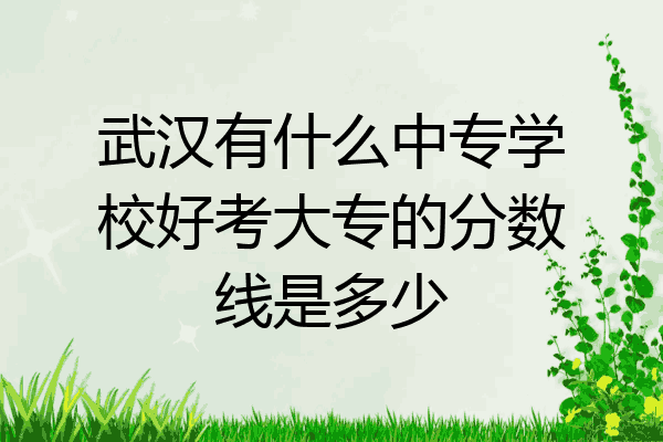 武汉有什么中专学校好考大专的分数线是多少