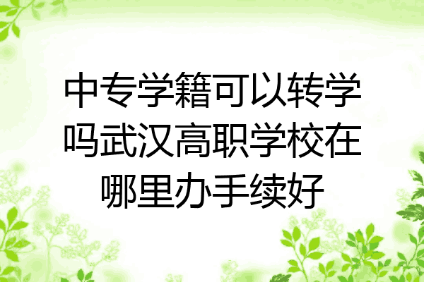 中专学籍可以转学吗武汉高职学校在哪里办手续好