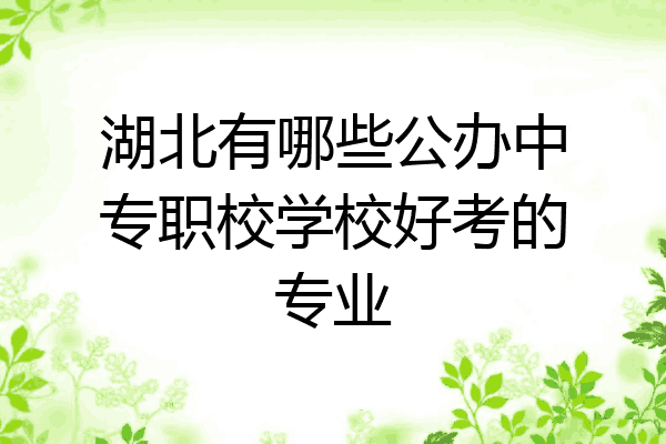 湖北有哪些公办中专职校学校好考的专业