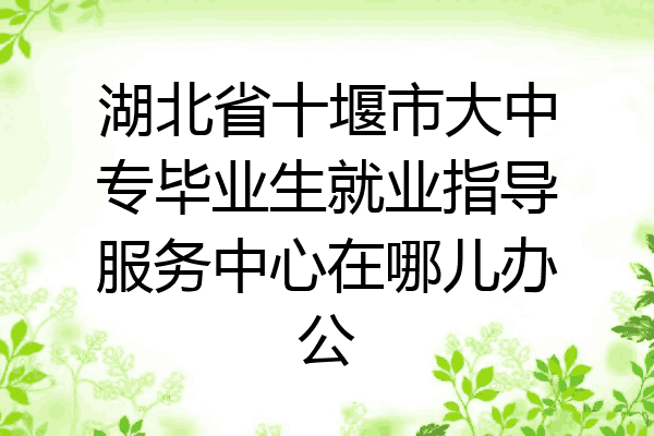 湖北省十堰市大中专毕业生就业指导服务中心在哪儿办公