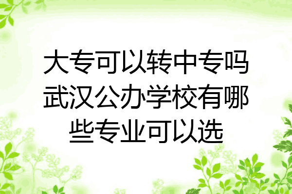 大专可以转中专吗武汉公办学校有哪些专业可以选