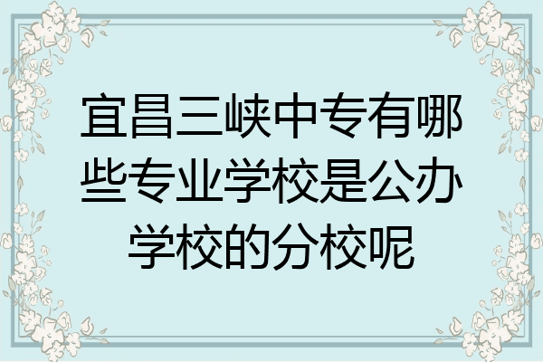 宜昌三峡中专有哪些专业学校是公办学校的分校呢