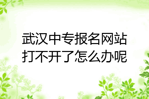 武汉中专报名网站打不开了怎么办呢