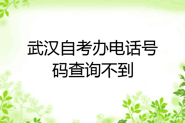武汉自考办电话号码查询不到