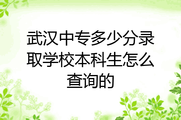 武汉中专多少分录取学校本科生怎么查询的