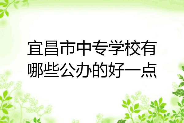 宜昌市中专学校有哪些公办的好一点