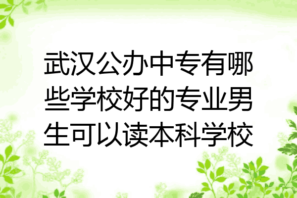 武汉公办中专有哪些学校好的专业男生可以读本科学校