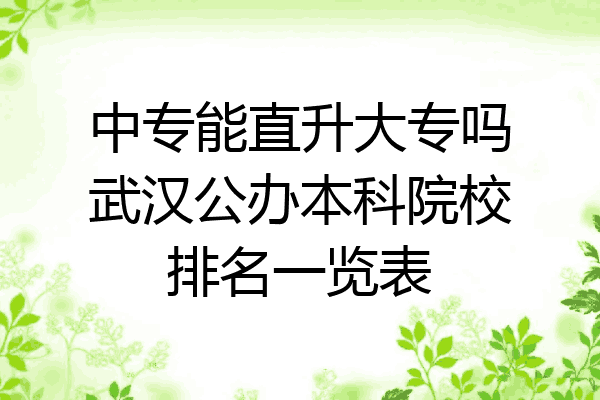 中专能直升大专吗武汉公办本科院校排名一览表