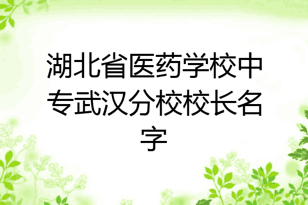 湖北省医药学校中专武汉分校校长名字