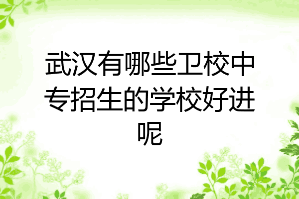 武汉有哪些卫校中专招生的学校好进呢