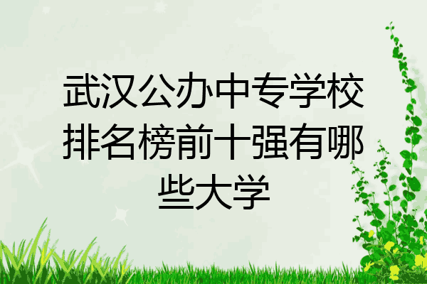 武汉公办中专学校排名榜前十强有哪些大学