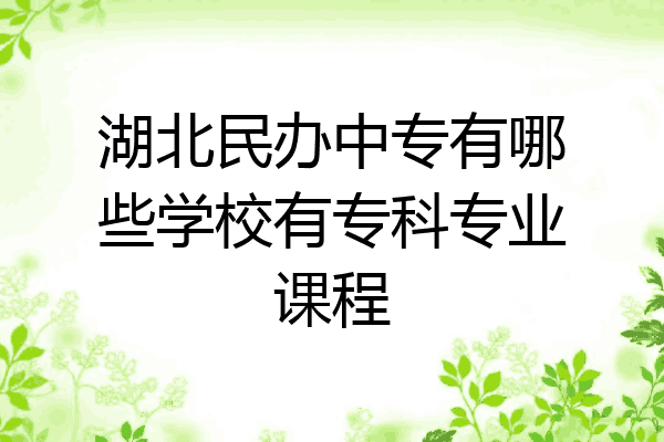 湖北民办中专有哪些学校有专科专业课程